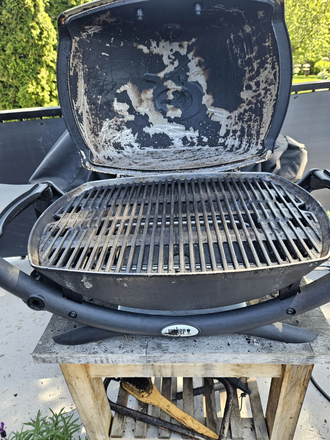 Weber Portable Grill