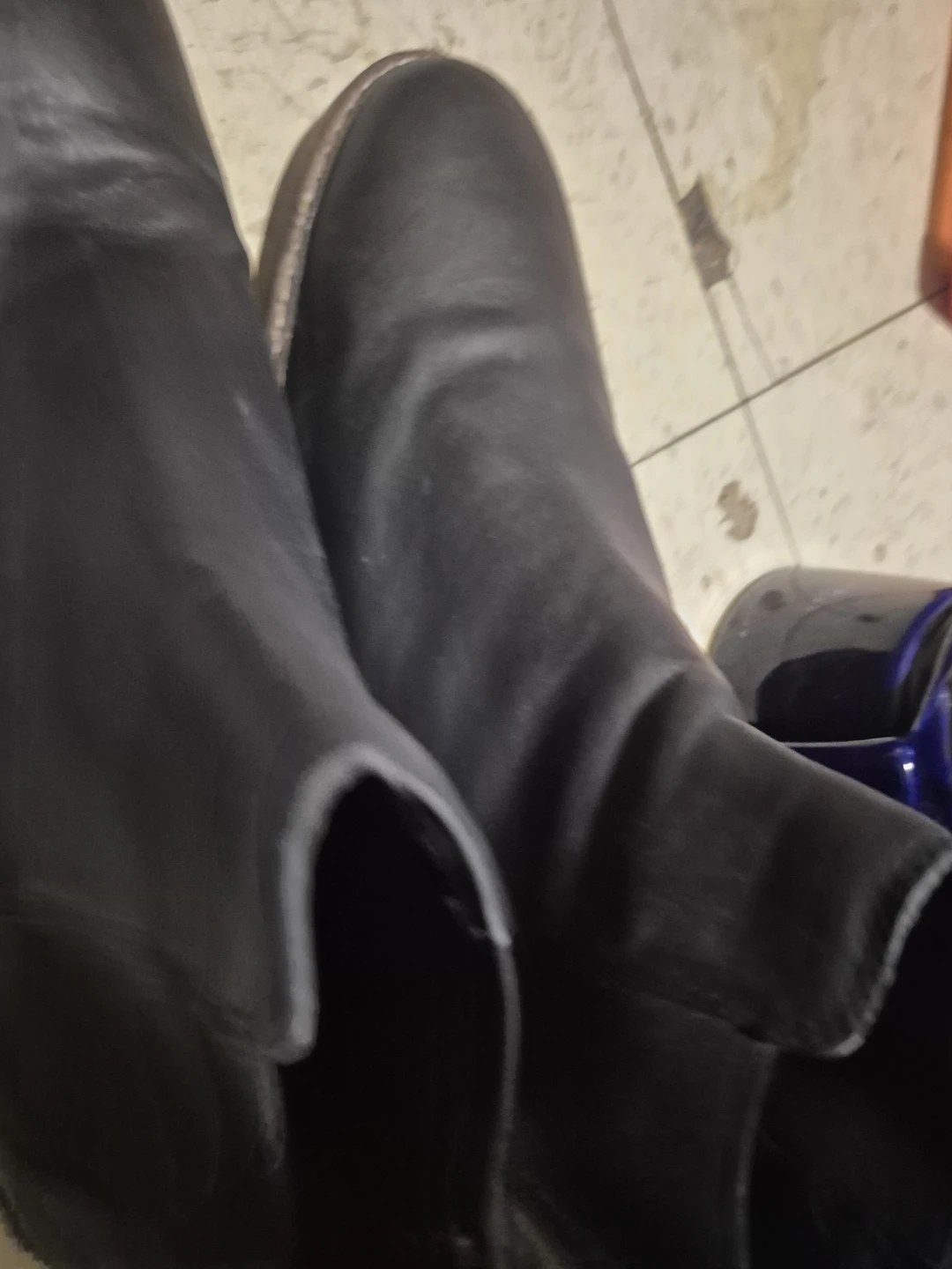 Shoe