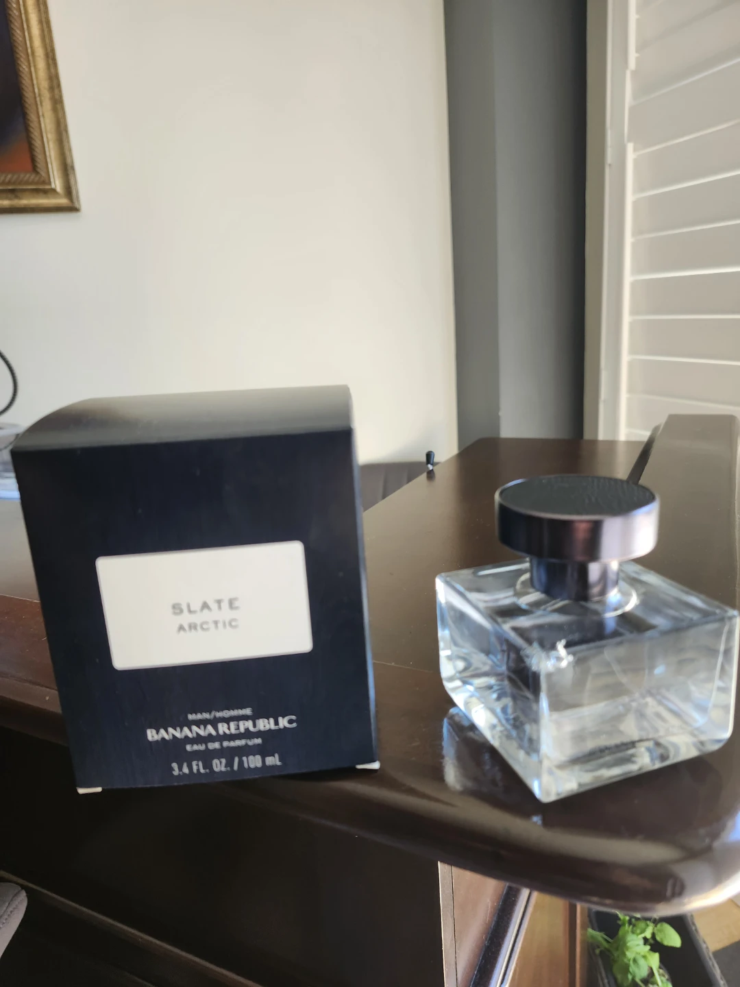 Banana Republic Slate Arctic Eau de Parfum for Men 100 mL