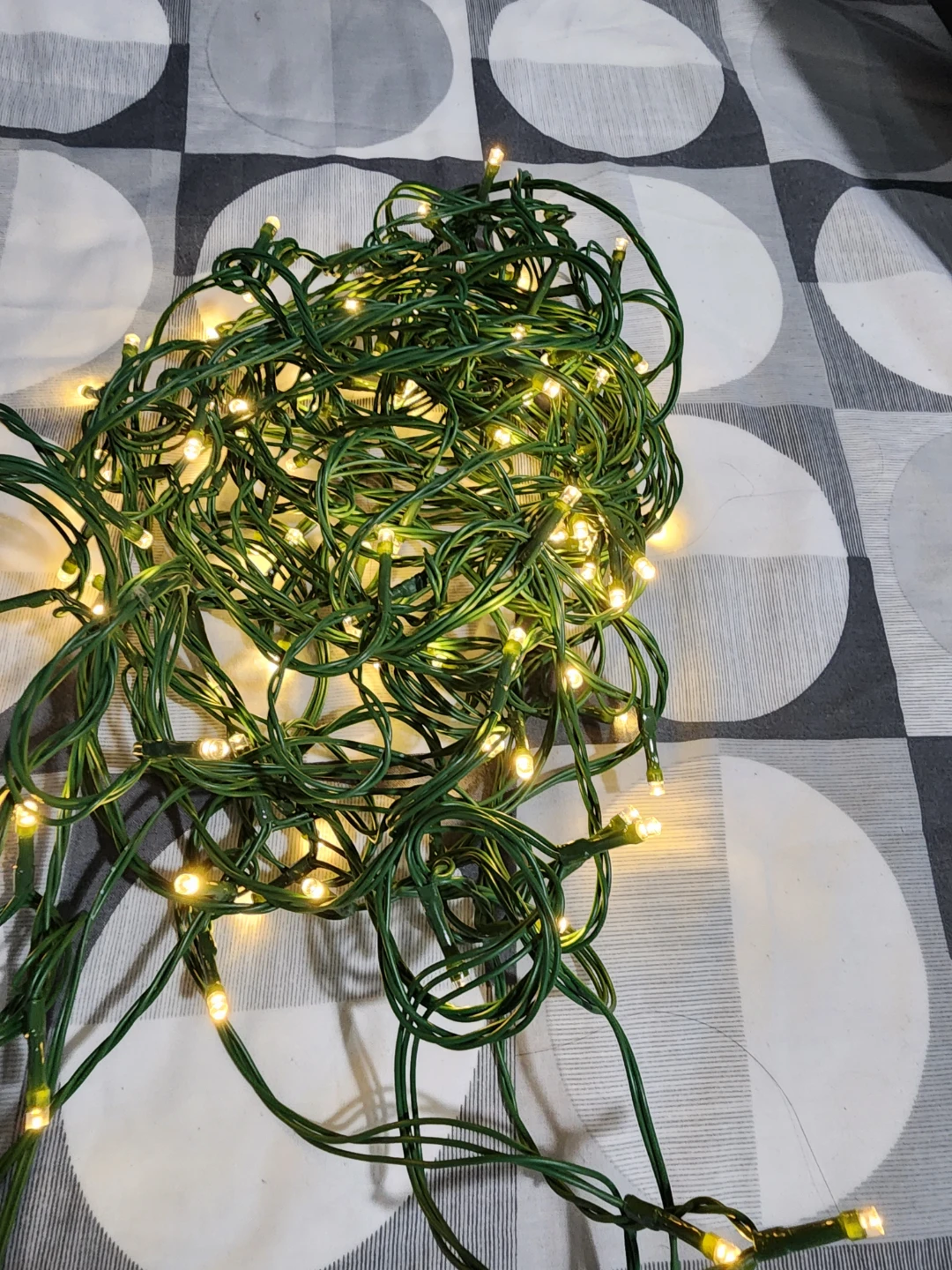 Christmas Lights or Decor lights