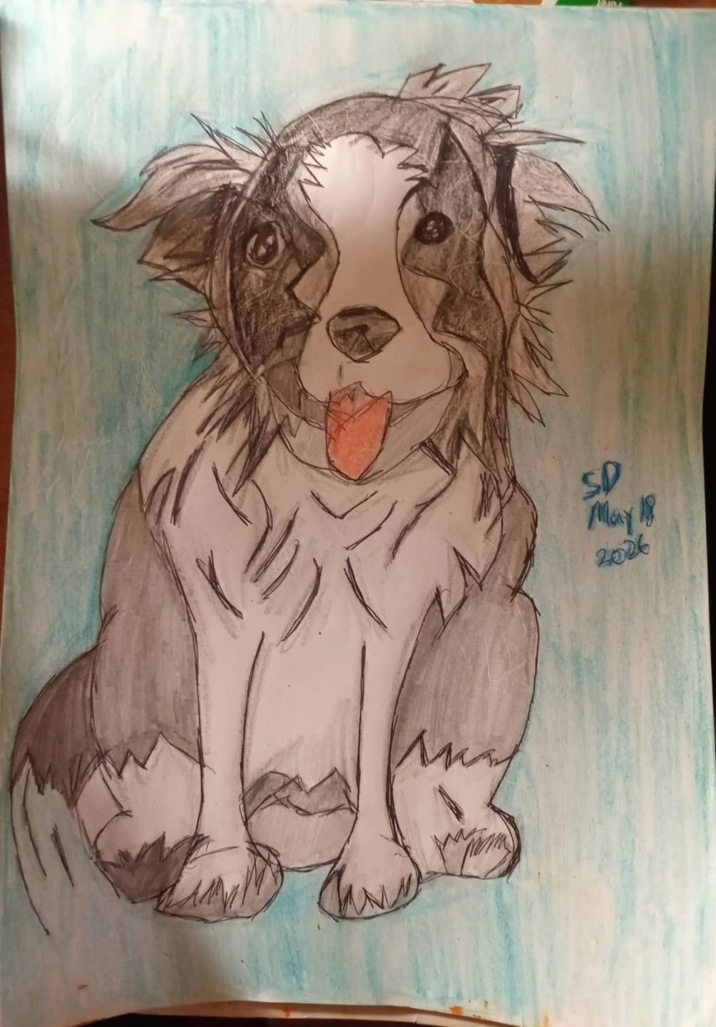 Grey, Black and White Dog Drawing by Custom Artist Sherwin - photo 2