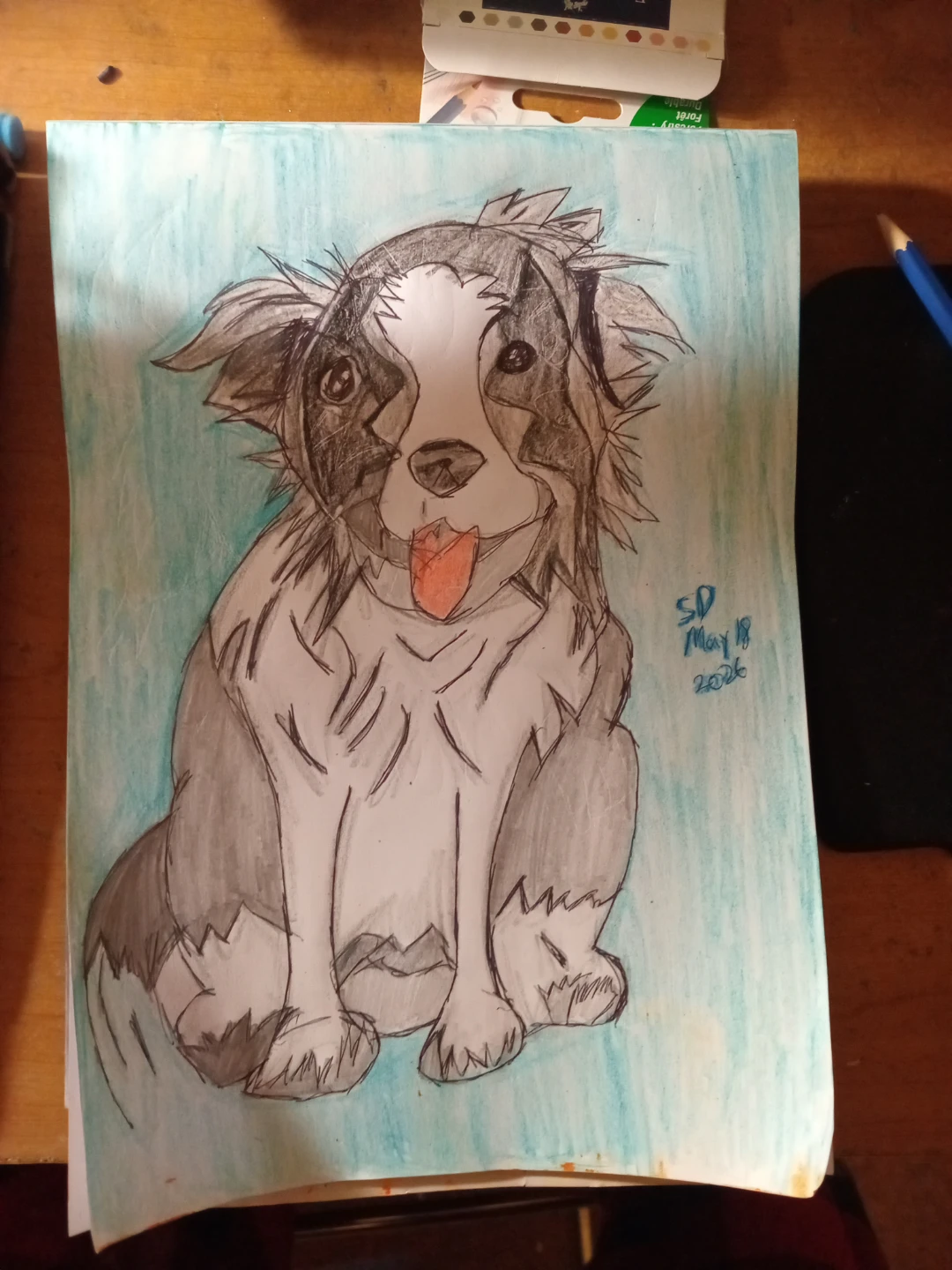 Grey, Black and White Dog Drawing by Custom Artist Sherwin - photo 4