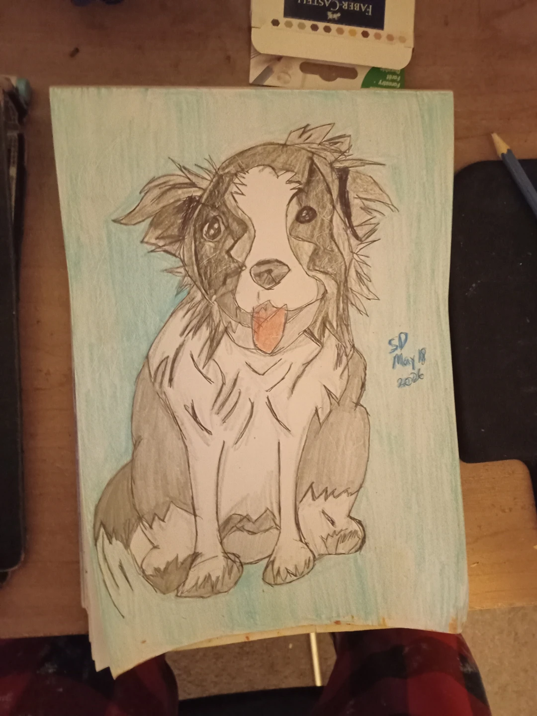 Grey, Black and White Dog Drawing by Custom Artist Sherwin - photo 5
