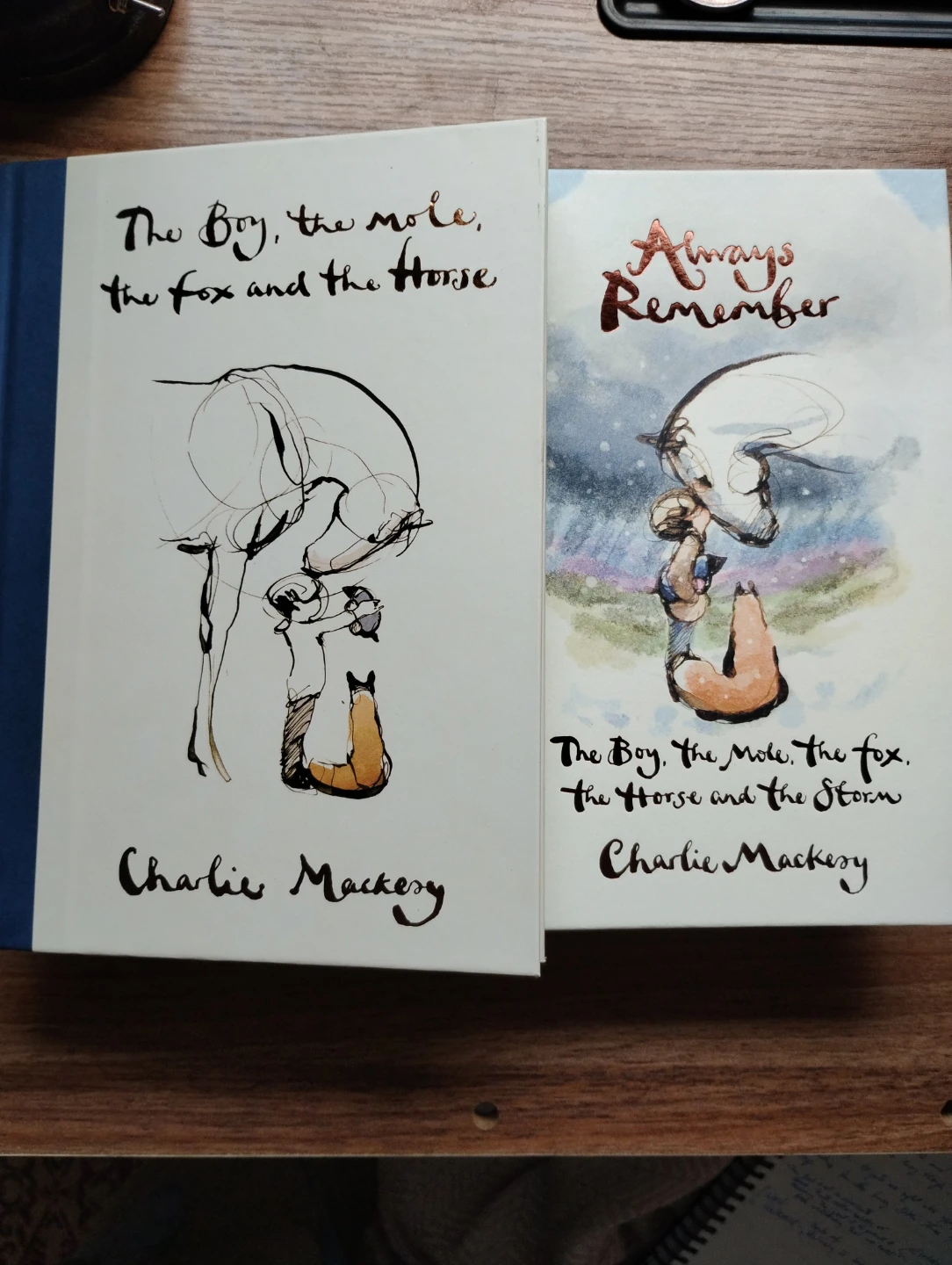 The Boy, The Mole, The Fox and The Horse Charlie Mackesy Books