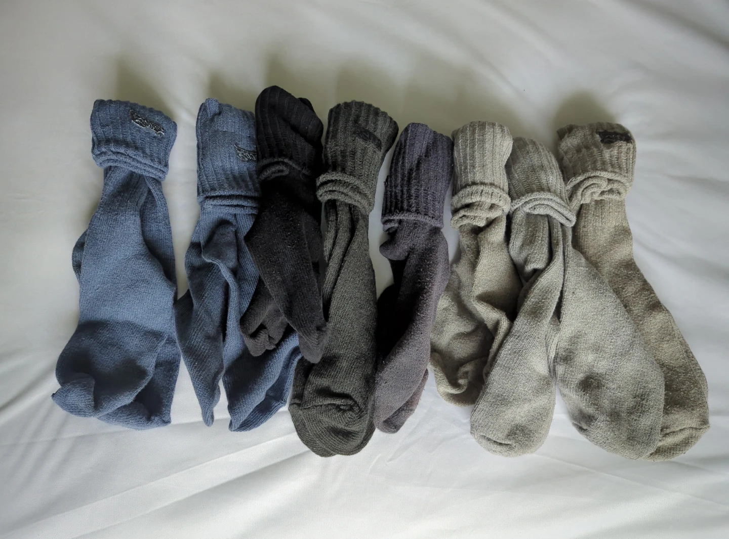 Roots Socks - 8 Pairs