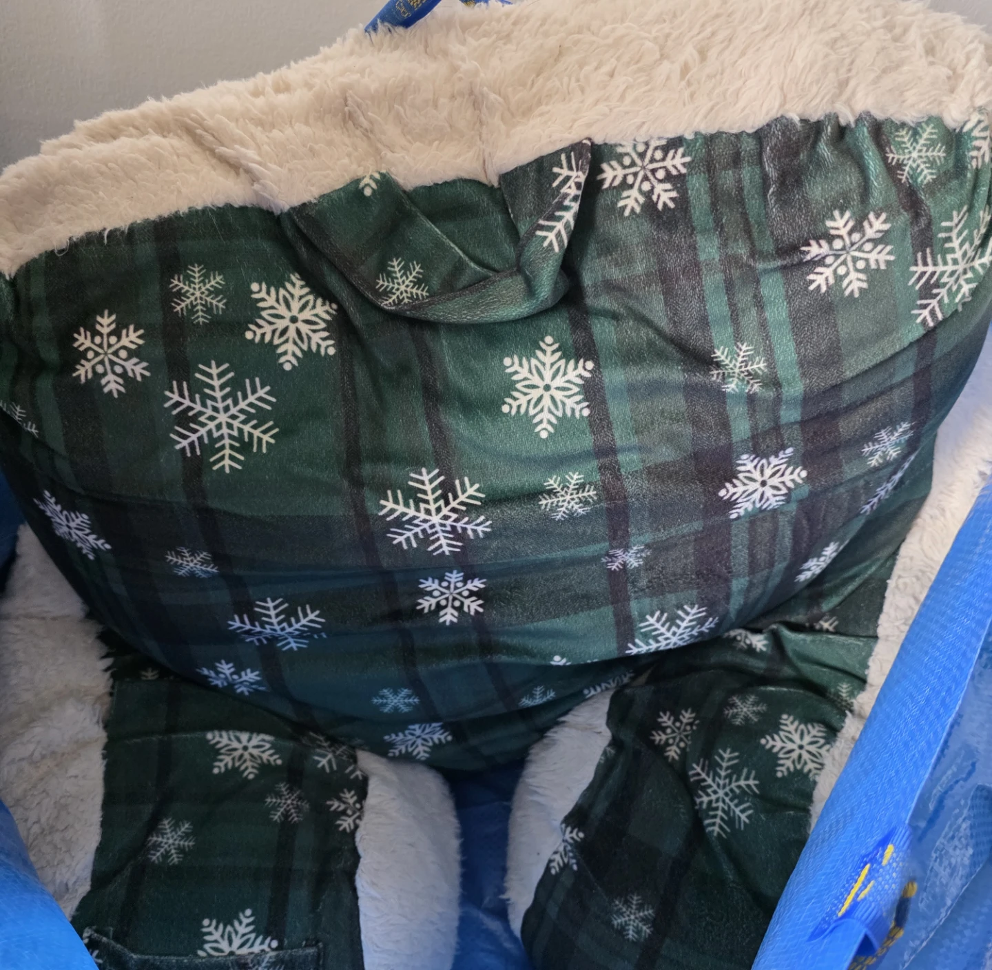 Cozy Book Pillow