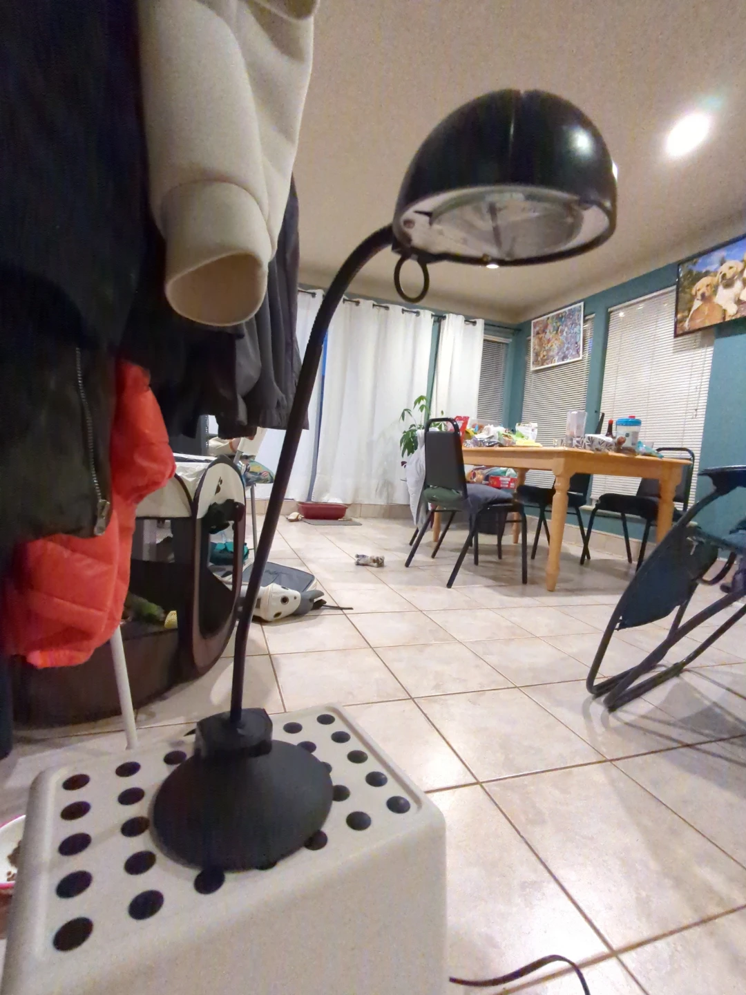 IKEA Black Desk Lamp - photo 2