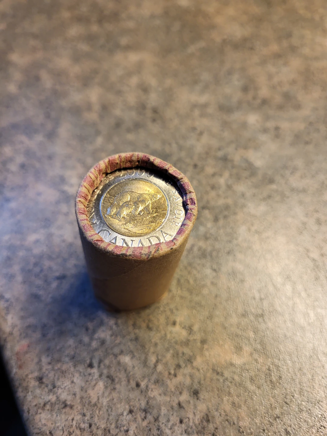 Roll of Canadian $2 Coins YEAR 2000