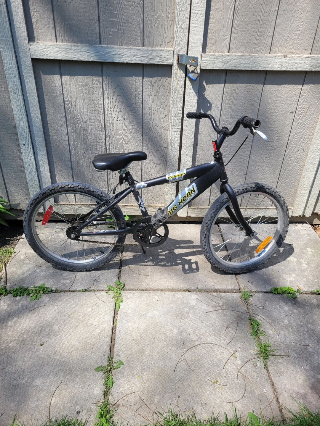 Raleigh Big Horn Bicycle