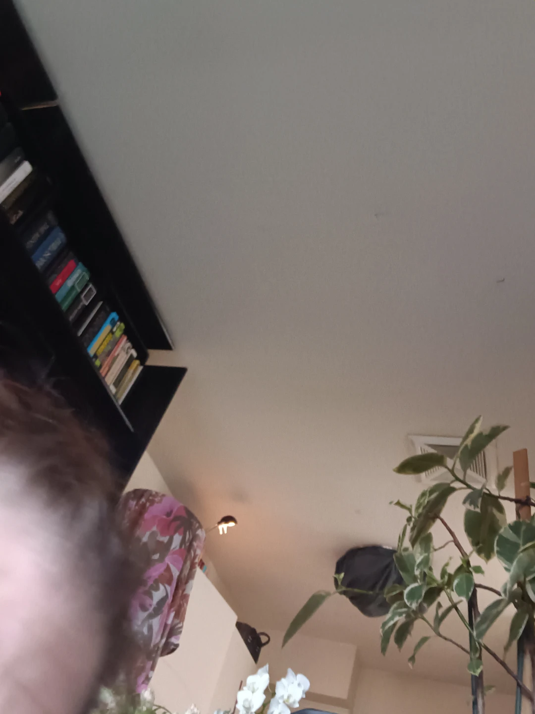 Books for free