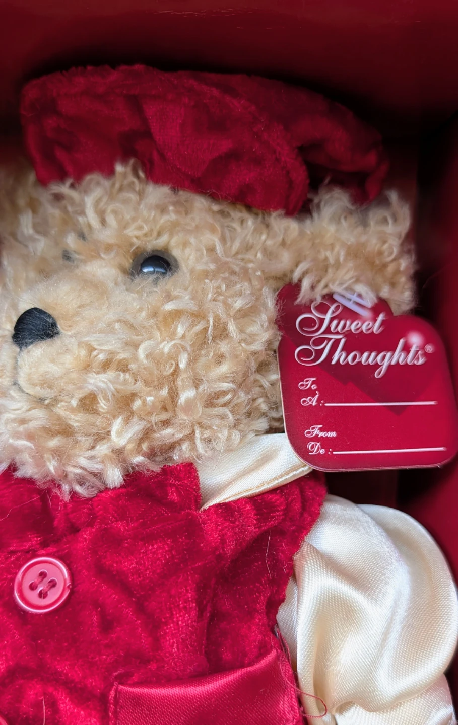 Soft Expressions Collectible Teddy Bear in Box - photo 2