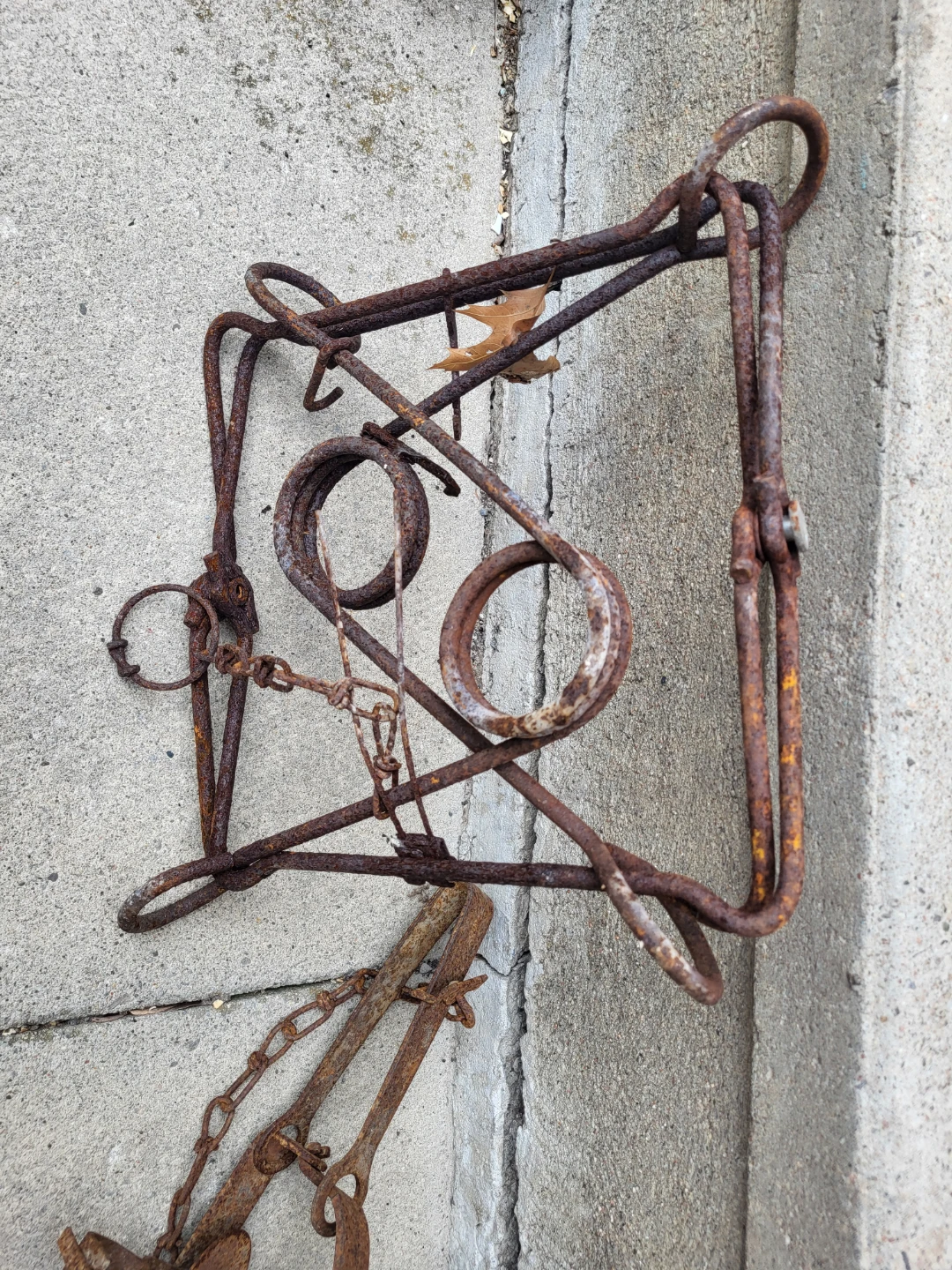 Vintage Decomissioned Metal Animal Traps - photo 2