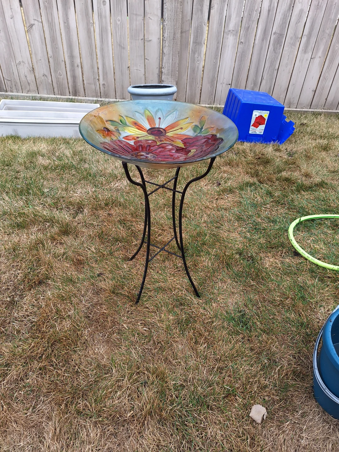 Bird Bath
