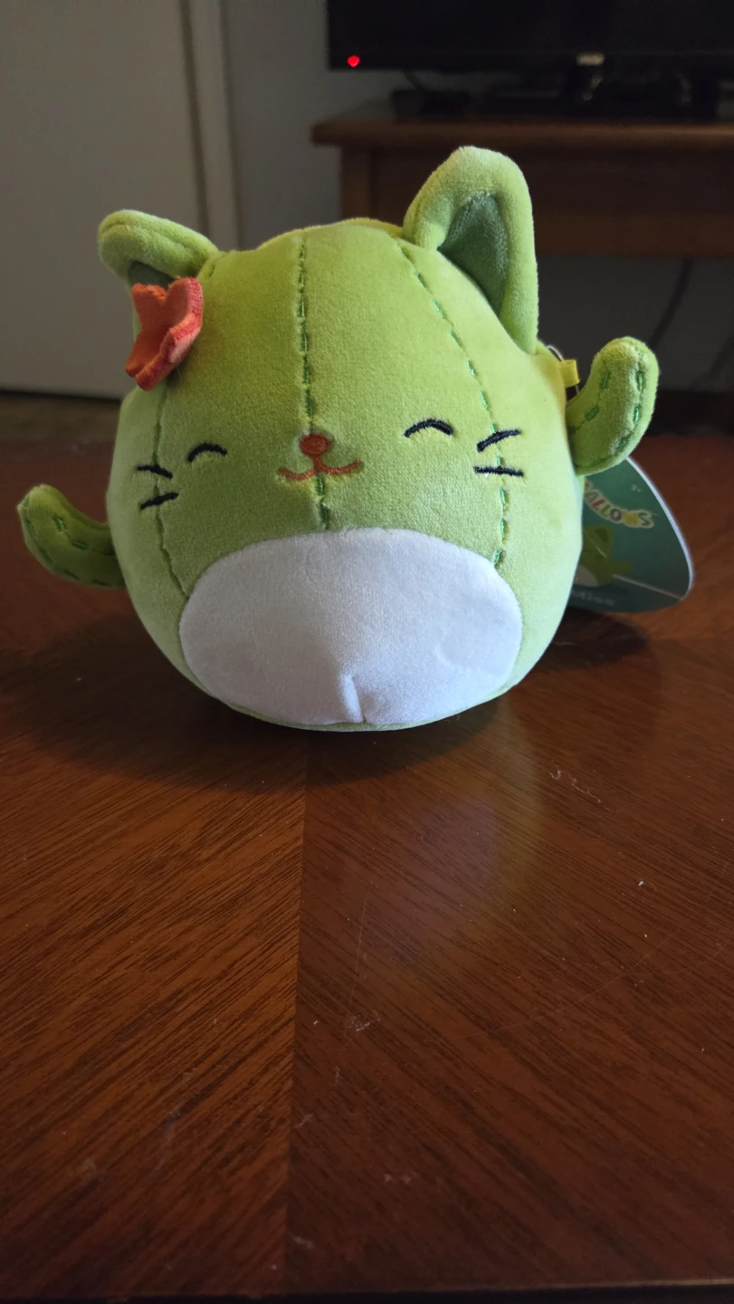 Squishmallows 'ms.miss' 5 inch