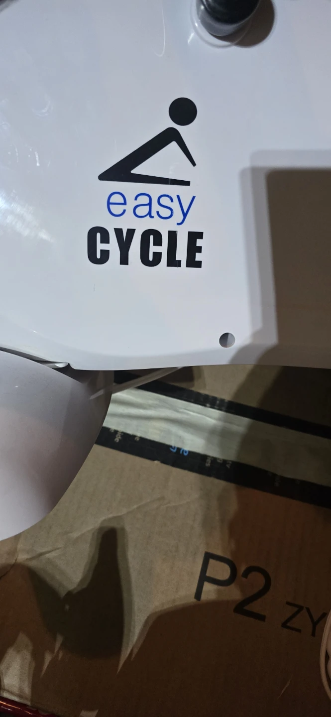 Easy Cycle White Electric - photo 4