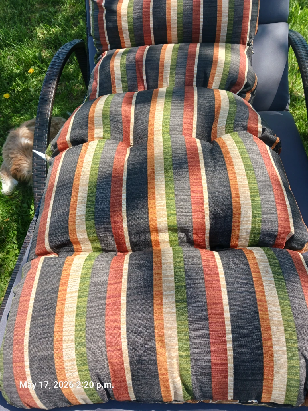 Chaise Lounge Cushions Set - photo 3