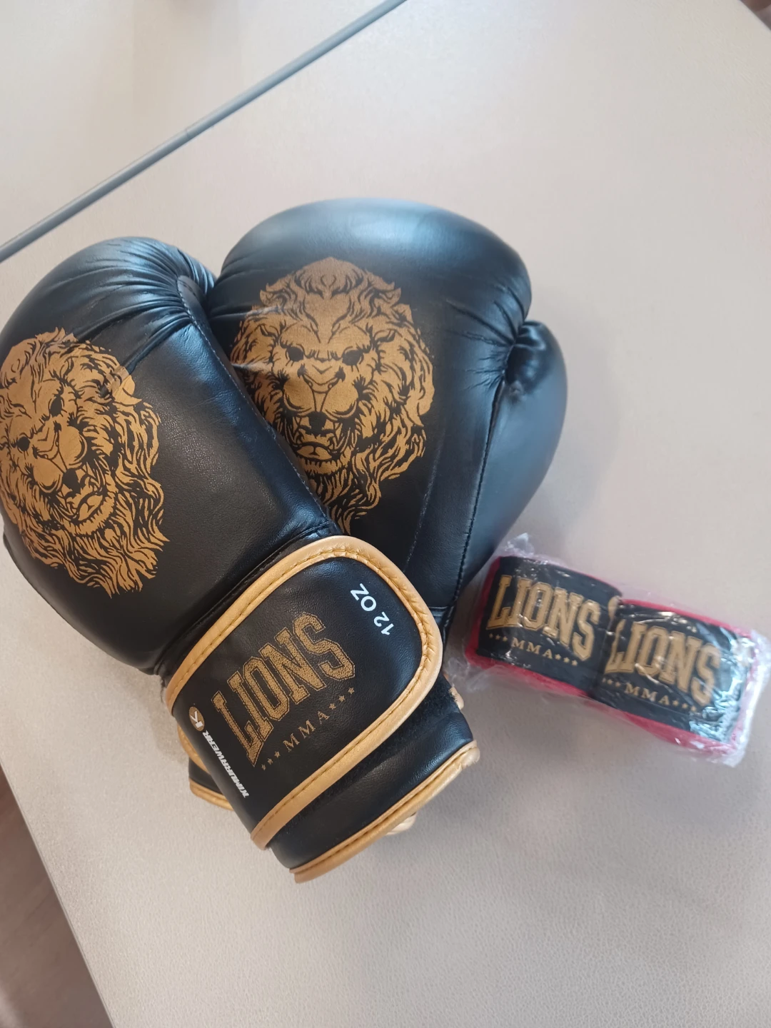 Lions MMA 12 OZ Boxing Gloves With Wraps