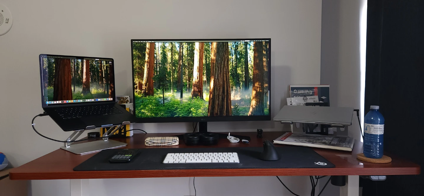 LG Ultragear Gaming Monitor