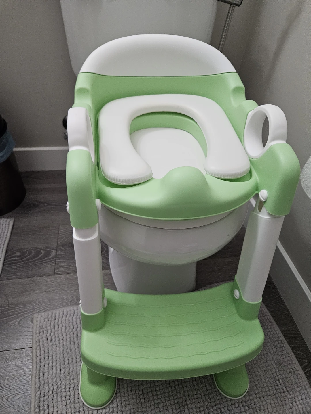 Green and White Potty Training Seat with Step Stool