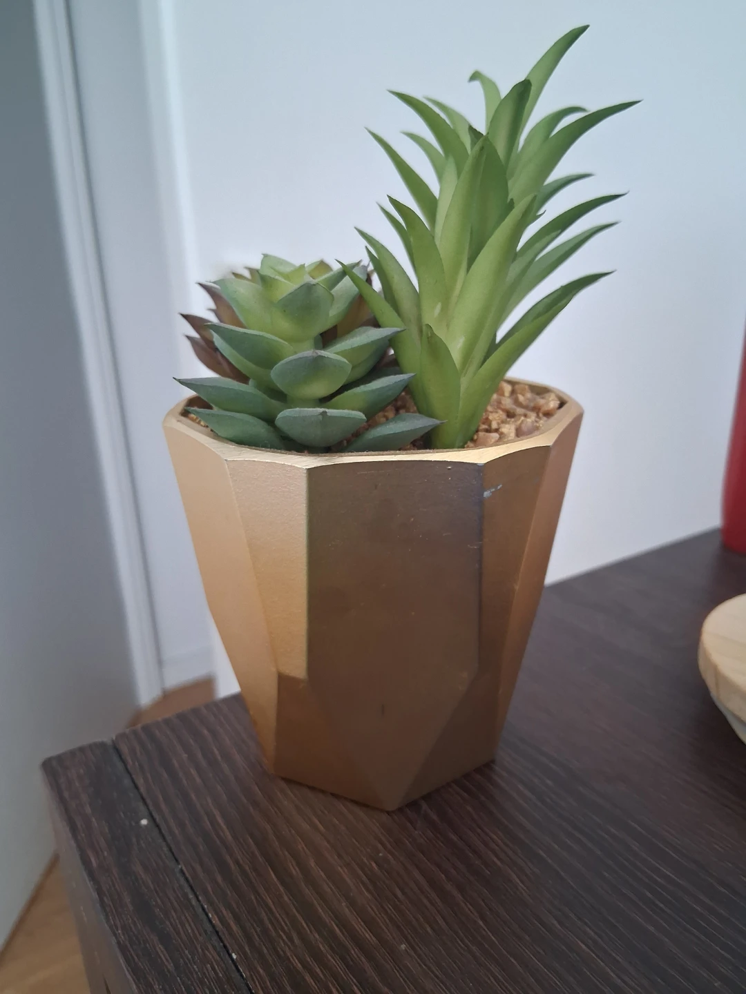 Mainstays Succulent Gold Pot