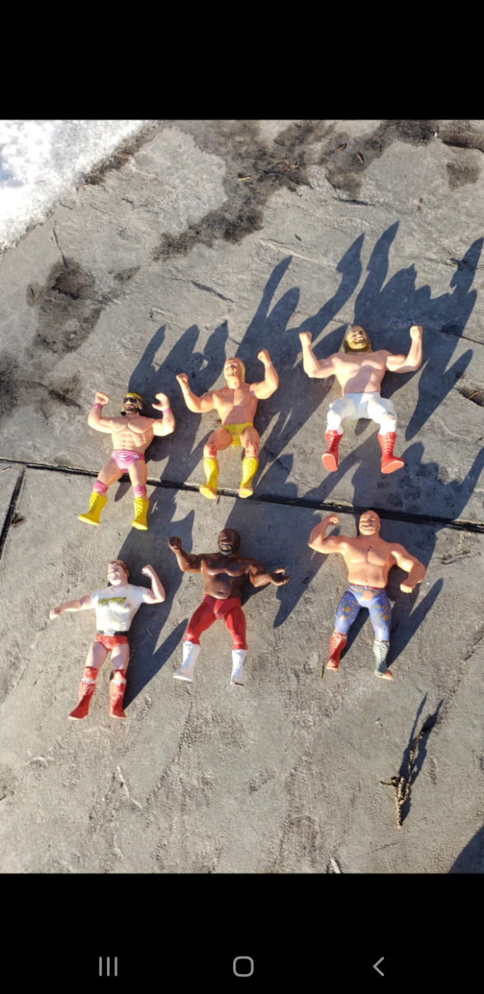 Vintage Wrestling Action Figures