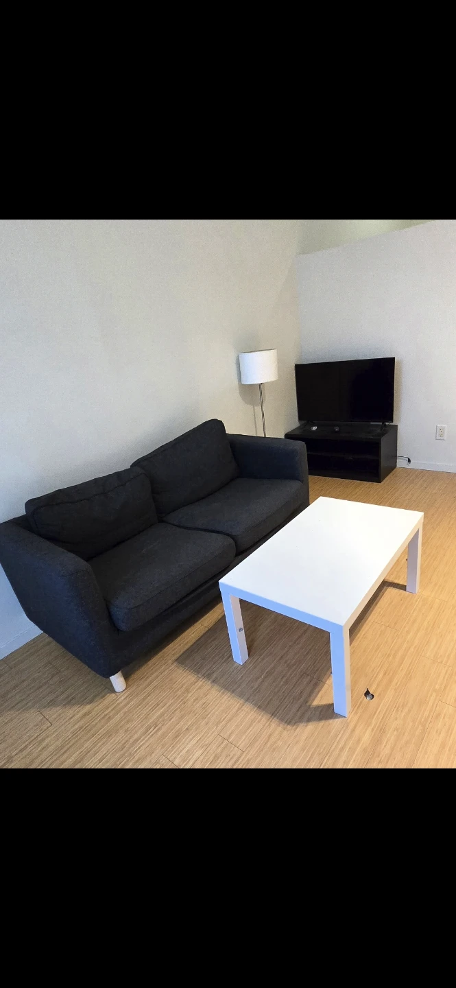 Free furniture and various items