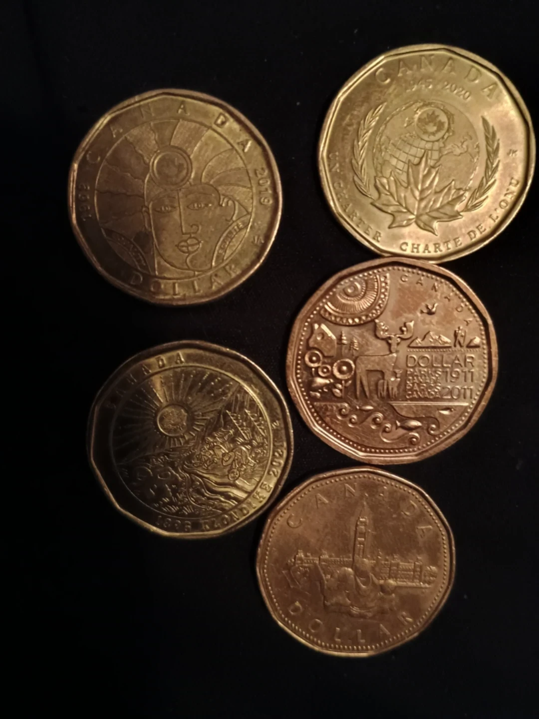 Collection of Canadian Dollar Coins - photo 3