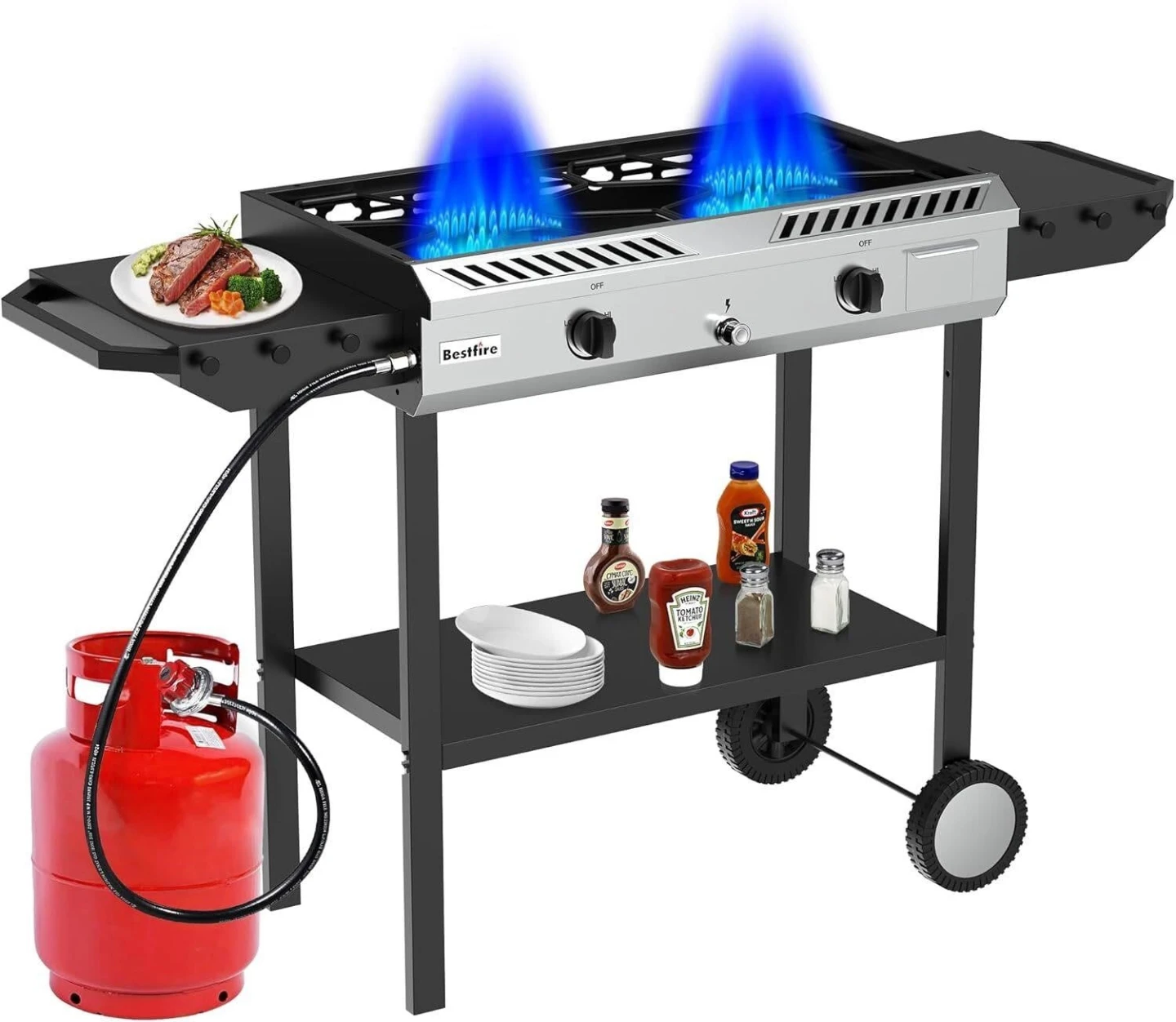 Bestfire 2-Burner Propane Gas Grill with 150,000 BTU Burner