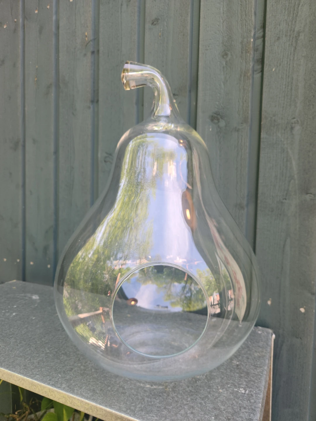 Glass Pear Terrarium