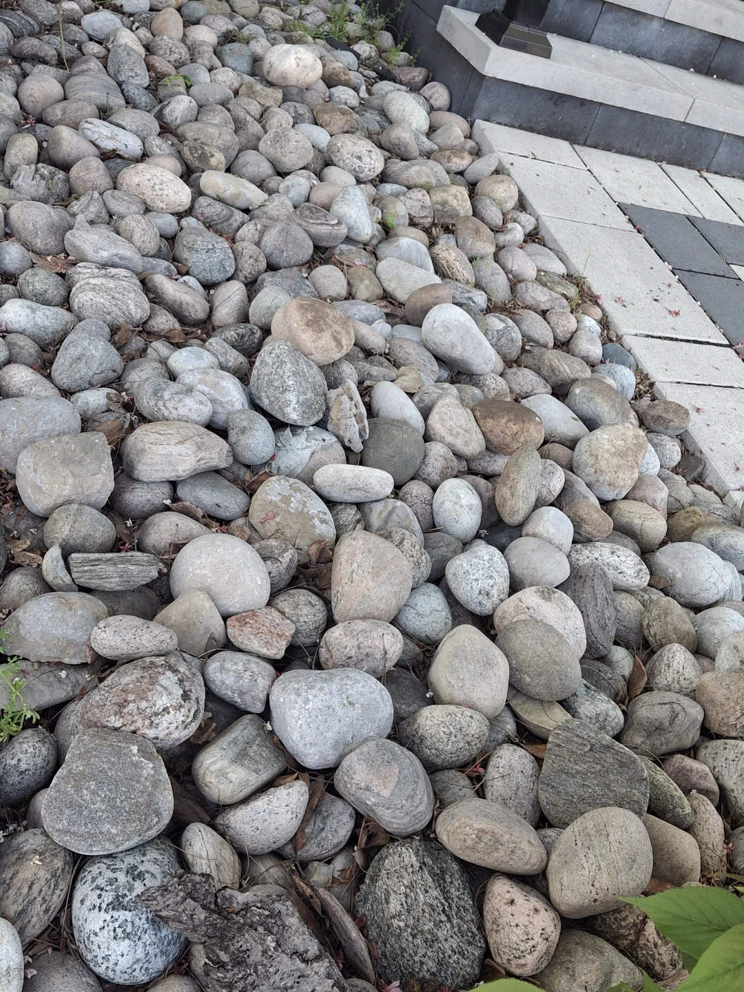 Mixed River Rocks - photo 2