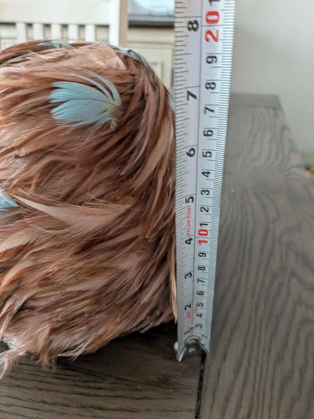 Vintage La Reine Millinery Feather Hat - photo 5