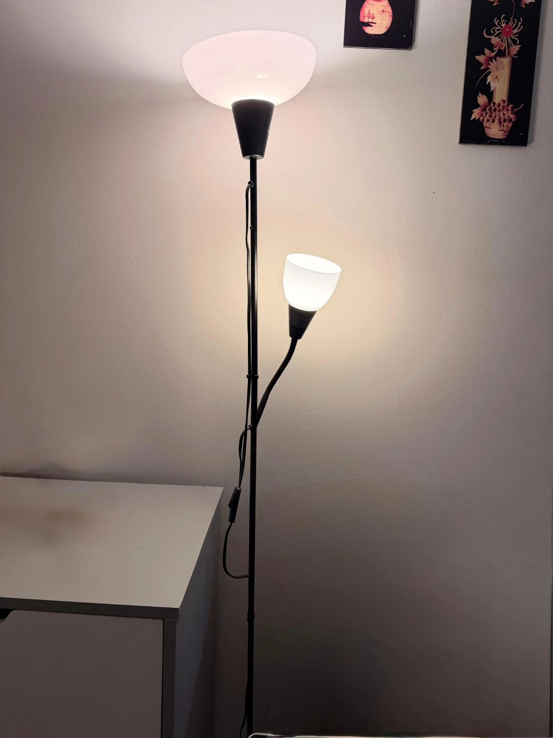 Dual Head Floor Lamp