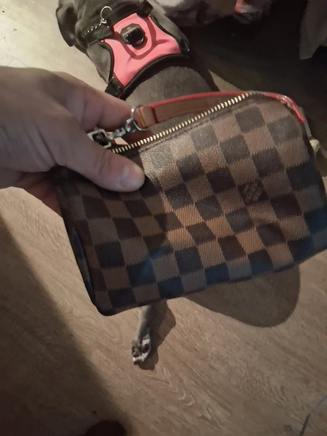 Louis Vuitton Damier Ebene Pouch - photo 2