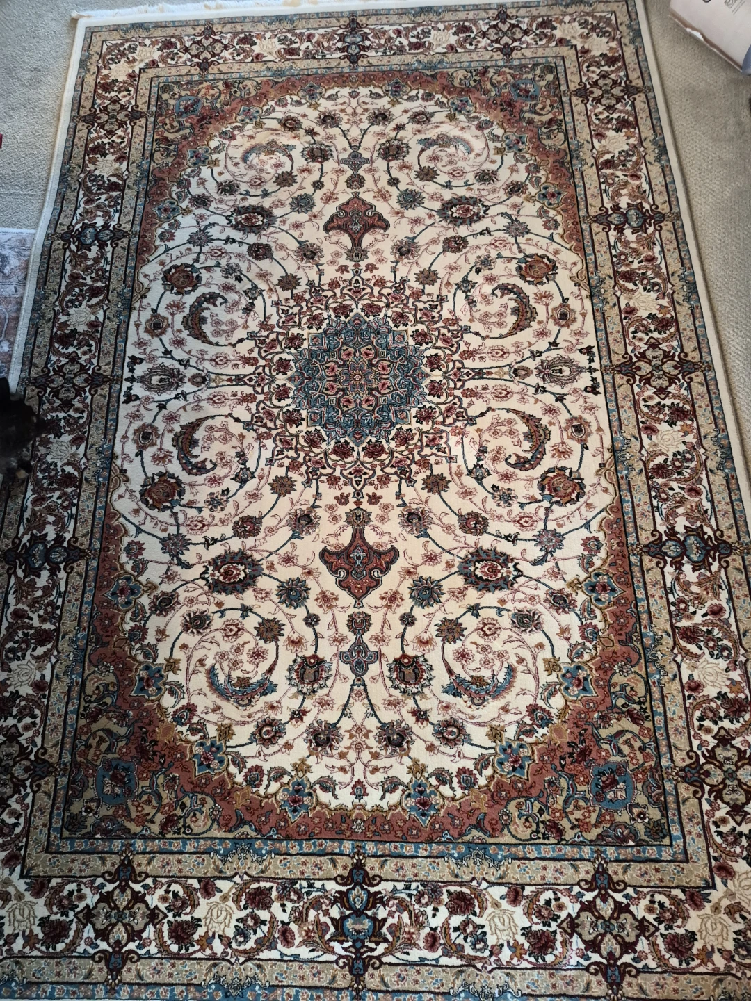 4' x 7' area rug
