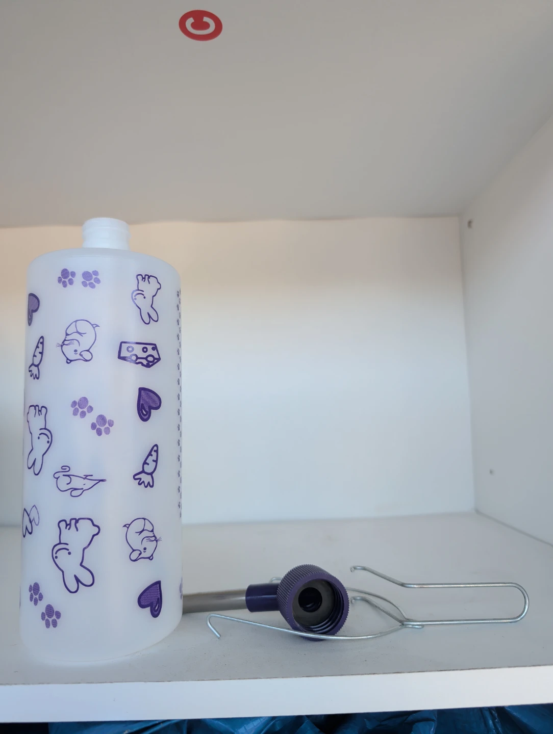 Pet Water Bottle Dispenser