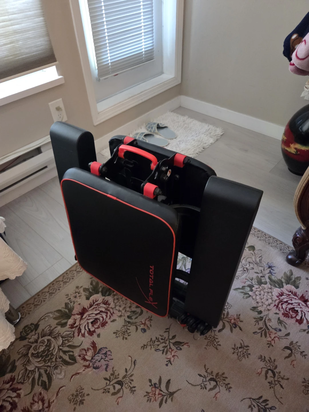 Total Flex Exercise Machine - photo 3