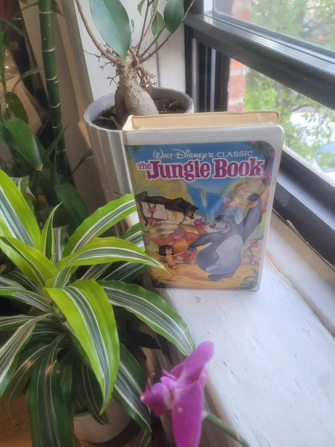 Walt Disney's The Jungle Book VHS - photo 3