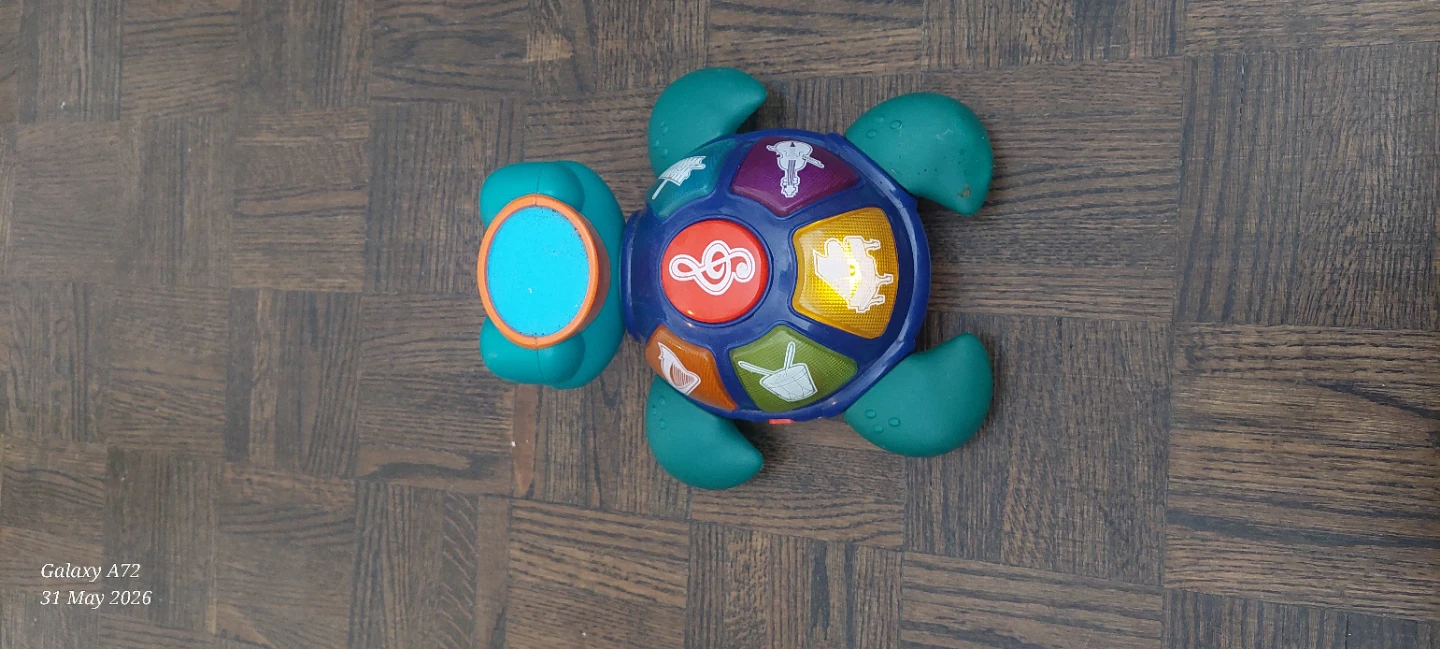 Musical Turtle Toy - photo 2