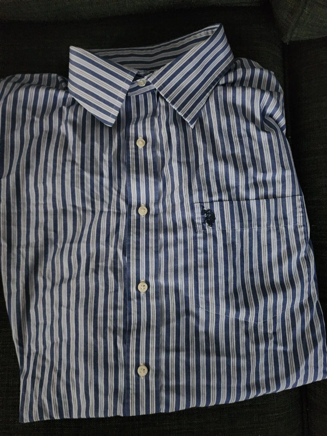 U.S. Polo Assn. Blue and White Striped Button-Up Shirt