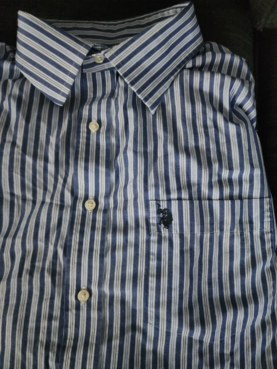 U.S. Polo Assn. Blue and White Striped Button-Up Shirt - photo 2