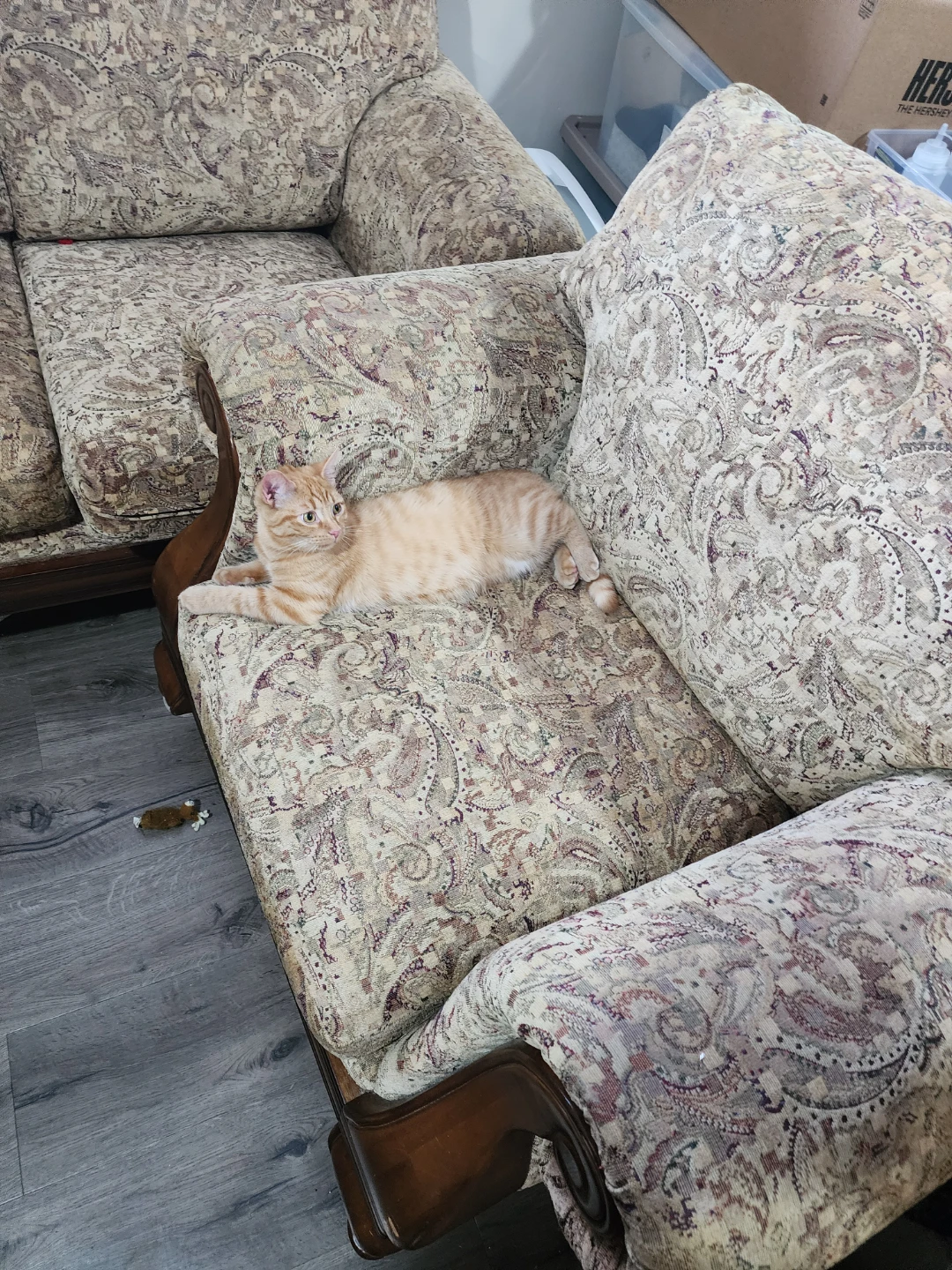 Free large couch and chair