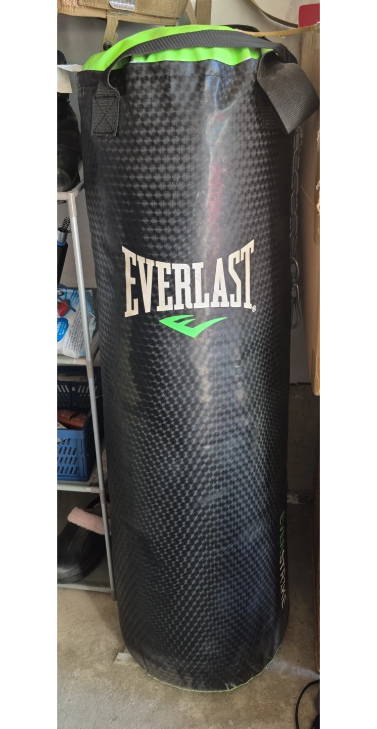Everlast Everstrike Punching Bag