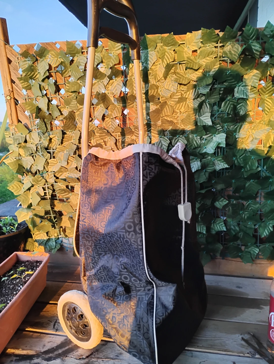 Shopping Cart Bag with Wheels