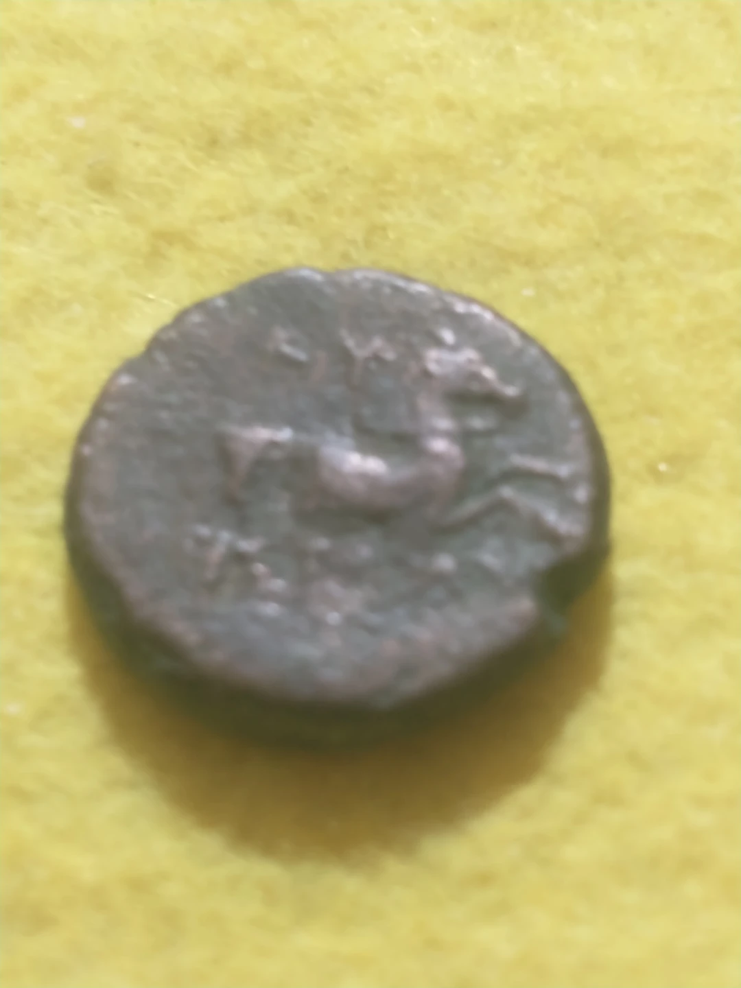 Stunning 250-190 BC Kyme, Aiolis, ancient Greek coin - photo 4