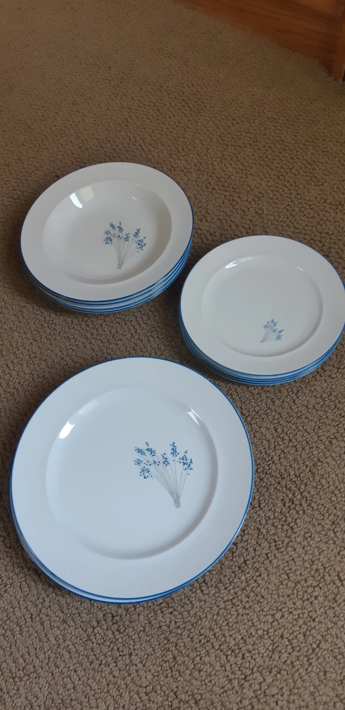 Gorgeous Set of Dishes