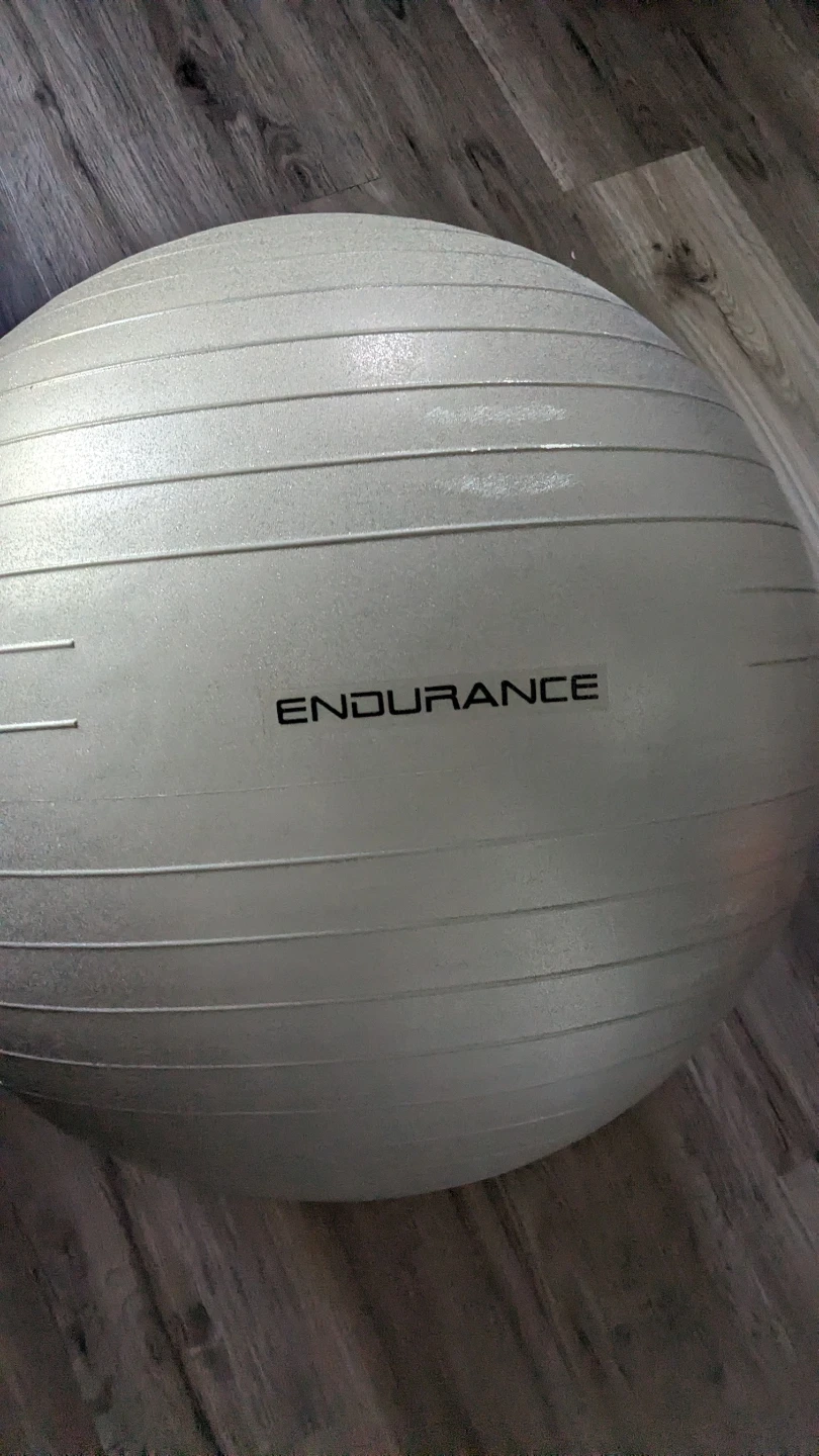 Endurance Gym Ball with Anti-Burst Technology