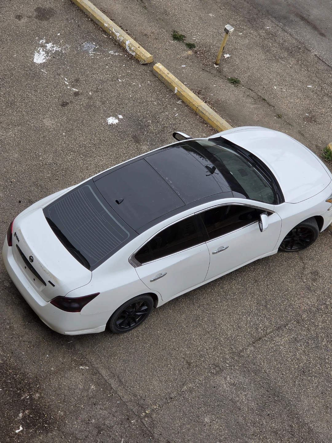 White Nissan Maxima Sedan