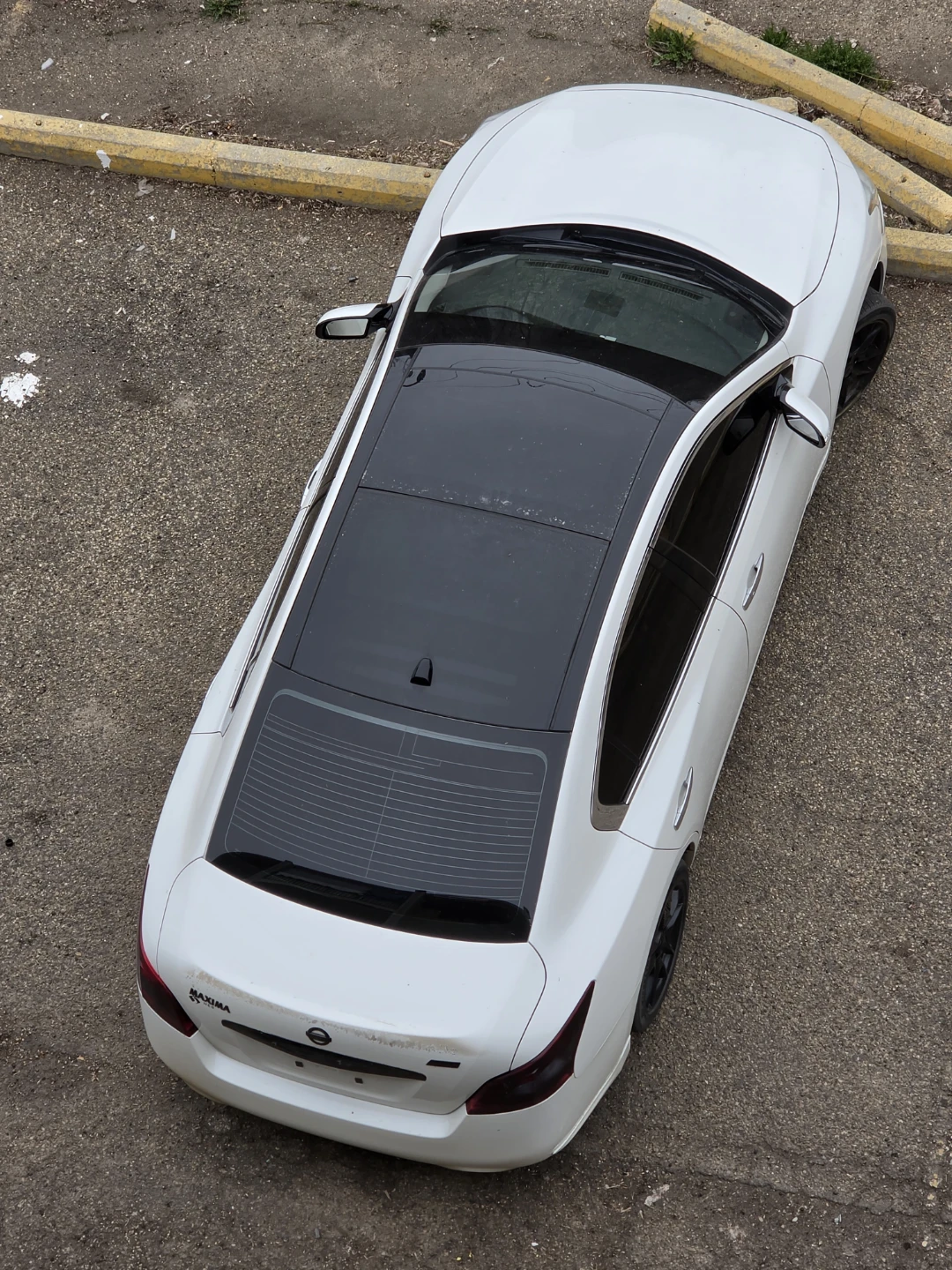 White Nissan Maxima Sedan - photo 2