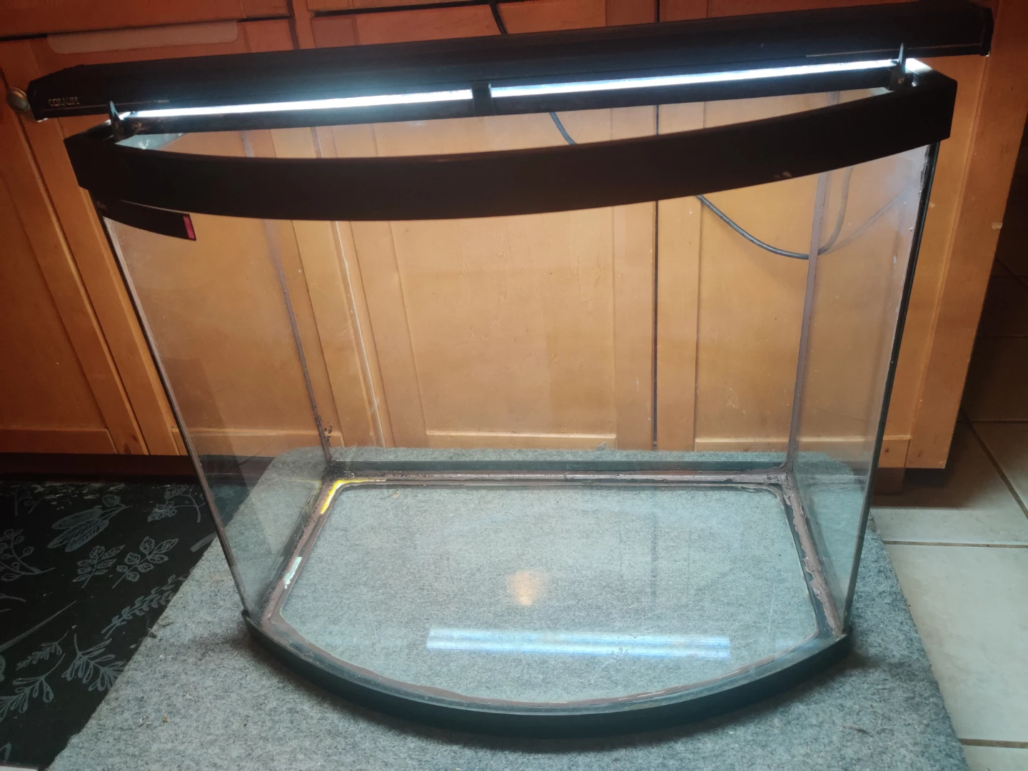 26 Gallon Aquarium setup $60 - photo 4