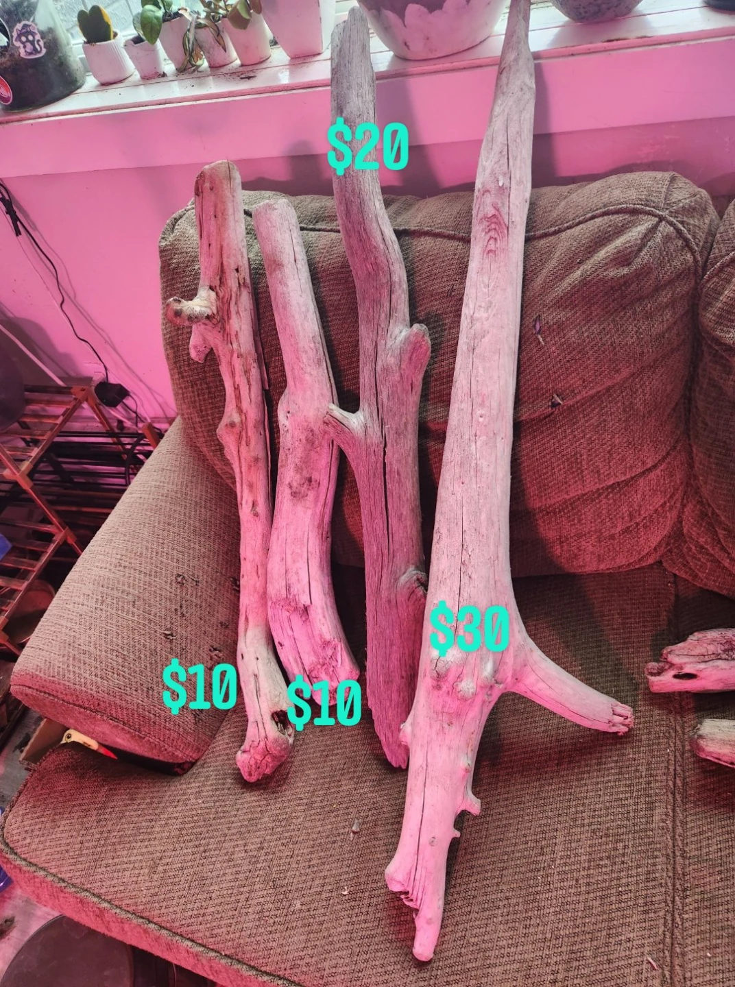 Driftwood Pieces - photo 2